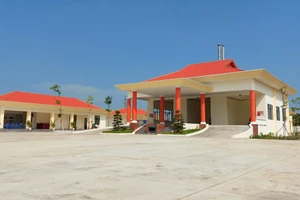 Rút giấy 'luồng xanh' xe tải chở 46 thi hài từ TP.HCM xuống Bến Tre 