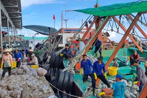 Đến năm 2050 hệ thống cảng cá phát triển đồng bộ, toàn diện, hiện đại