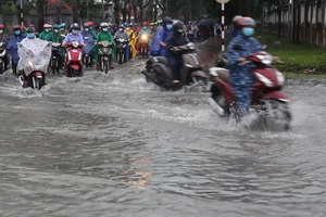 Bến Tre: Bệnh thủy đậu bùng phát tại 1 công ty trong KCN Giao Long