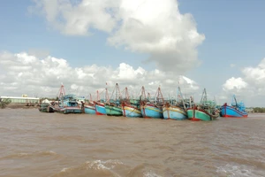 3 thuyền viên tử vong trên tàu cá do ngạt khí