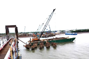 Bến Tre: Tiến độ dự án cầu Ba Lai 8 gặp khó do vướng đất rừng