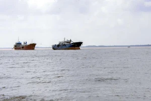 Đồng Tháp sẽ có cảng biển tiếp nhận tàu đến 70.000 tấn