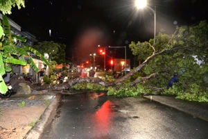 Dông lốc làm tốc mái 25 căn nhà ở Đồng Tháp