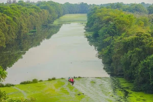 Đồng Tháp: Mở rộng Khu Bảo tồn sinh thái Đồng Tháp Mười thêm 60 ha