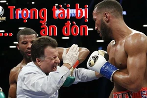Hàng loạt trọng tài bị đấm knock out