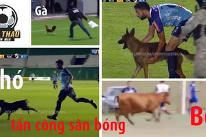 Những kẻ phá bĩnh nhưng vui nhộn trên sân bóng