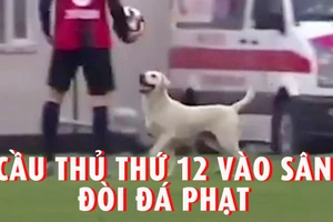 Chú chó giành đá phạt ở giải vô địch Thổ Nhĩ Kỳ