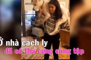 Cách ly ở nhà đã có thú cưng cùng tập thể lực