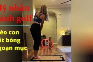 Người đẹp đánh golf bị mèo con tung người bắt hết bóng