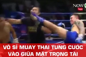 Võ sĩ Trung Quốc tung cước hạ gục... trọng tài
