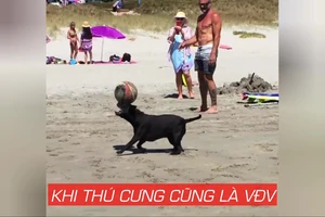 Khi thú cưng cũng là vận động viên
