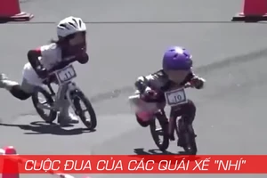 Cuộc đua kỳ thú của các quái xế nhí 