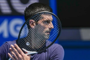 Djokovic không làm giả phiếu xét nghiệm COVID-19