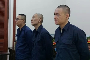 Vận chuyển gần nửa tấn ma túy trong dạ dày lợn, 3 người Đài Loan lãnh án tử 