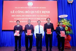 TAND TP.HCM trao quyết định điều động, bổ nhiệm chánh án nhiều quận