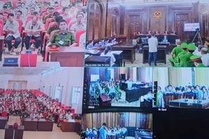 Luật sư bào chữa cho cựu Giám đốc trung tâm đăng kiểm 50-03V 