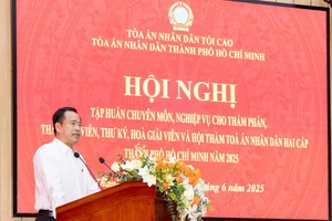 TAND hai cấp TP.HCM tập huấn ứng dụng AI trong xét xử