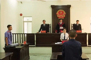 TAND cấp tỉnh và TAND khu vực sẽ có những toà chuyên trách nào?