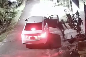 Lái ôtô đi trộm chó: Phương tiện này có bị tịch thu?