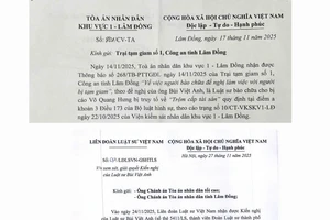 Luật sư gặp bị cáo ở trại tạm giam: Tòa án có quyền cấp phép hay chỉ giám sát?