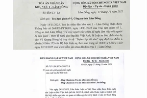 Vụ tòa không cho luật sư gặp bị cáo đang bị tạm giam: Luật quy định ra sao?