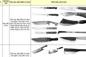 TAND Tối cao hướng dẫn về tội phạm liên quan dao có tính sát thương cao