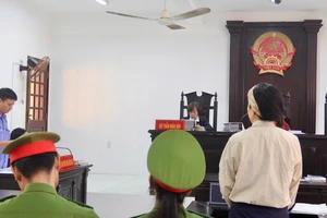 Đại diện của bà Nguyễn Phương Hằng trình bày gì tại tòa?