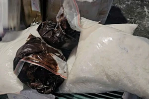 1 luật sư lãnh án vì tổ chức sử dụng trái phép ma túy