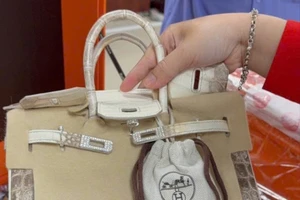 Cận cảnh 2 chiếc túi Hermès bạch tạng của bà Trương Mỹ Lan được đưa ra đấu giá