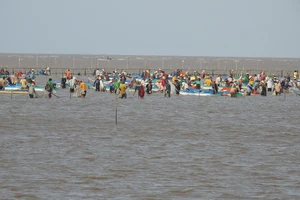 Chủ sân nghêu khóc năng nỷ người dân.