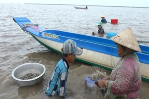 Những ngư dân bị khởi tố là dân hái lượm. 