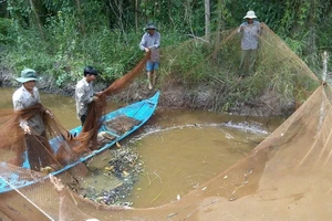 Cà Mau đề nghị ông Hải phản hồi phát ngôn 'rừng U Minh'