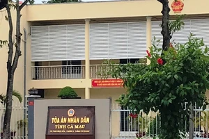 Nguyên chánh Tòa Dân sự Cà Mau bị 24 tháng tù treo