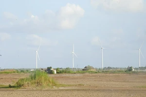 Dừng phiên xử 2 công ty làm dự án điện gió Bạc Liêu 