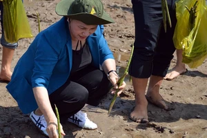 Chủ tịch Quốc hội lội trồng cây ở Cà Mau