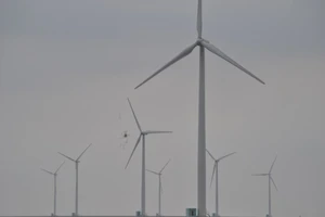 Ông chủ điện gió Bạc Liêu thắng kiện 5 tỉ đồng