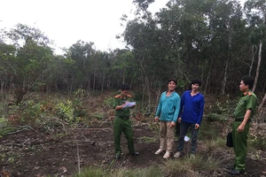 Bắt quả tang vụ phá trên 3.000m2 Vườn quốc gia Phú Quốc