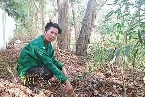 Kỹ thuật hình sự vào cuộc vụ 300 xác thai nhi ở Cà Mau