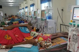 Cà Mau: Cha mời thầu, con làm bên trúng thầu