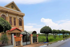 Bạc Liêu: 1 bí thư phường bị cách chức vì sai phạm 9 năm trước