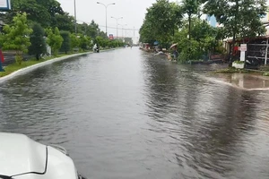 Cử tri Cà Mau đặt vấn đề về chỉ số PCI thấp trong khu vực