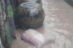 Dân Sông Đốc, Cà Mau hoảng vì nước dâng không có cảnh báo