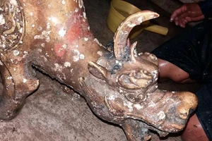 Chưa giám định tượng thú hai đầu ở Cà Mau 