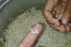 Cà Mau xác minh thông tin gạo dài bất thường nghi là gạo giả