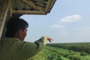 Cảnh báo cháy cấp V hơn 3.000 ha rừng tràm ở Cà Mau