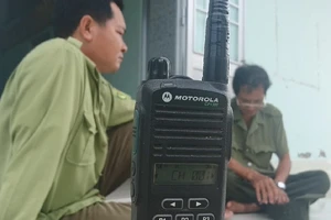 Cà Mau: Cảnh báo cháy rừng cấp V trong phạm vi 12.000 ha