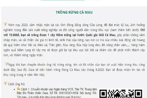 Cà Mau: Làm rõ việc vận động trồng rừng trên 1 trang web