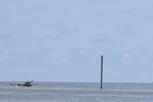 Ngư dân đề xuất dời 4 trụ điện gió Cà Mau, trả lại lòng lạch