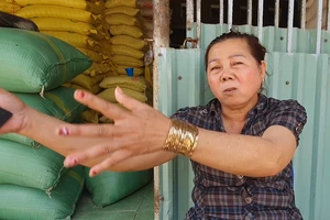 Nhóm trộm đền 200 triệu cho chủ ao tôm đã bị phạt hành chính