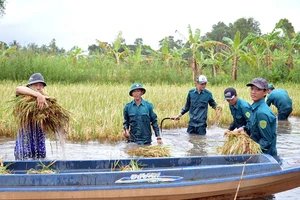 Cà Mau vận động hỗ trợ cho nông dân trong tỉnh và miền Trung